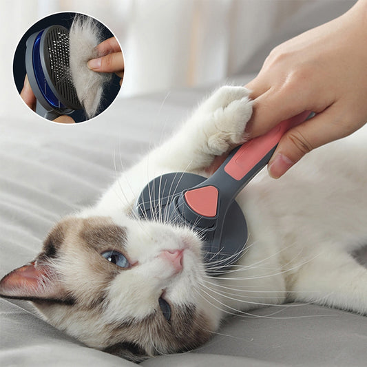 Cat Comb Brush